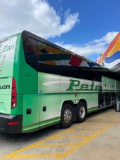 Peter Pan Bus